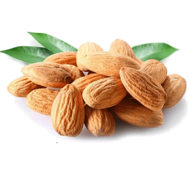 روش کاشت درخت بادام در مناطق سردسیر