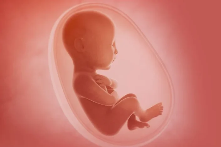 All the tips you should follow in the fifth month of pregnancy
