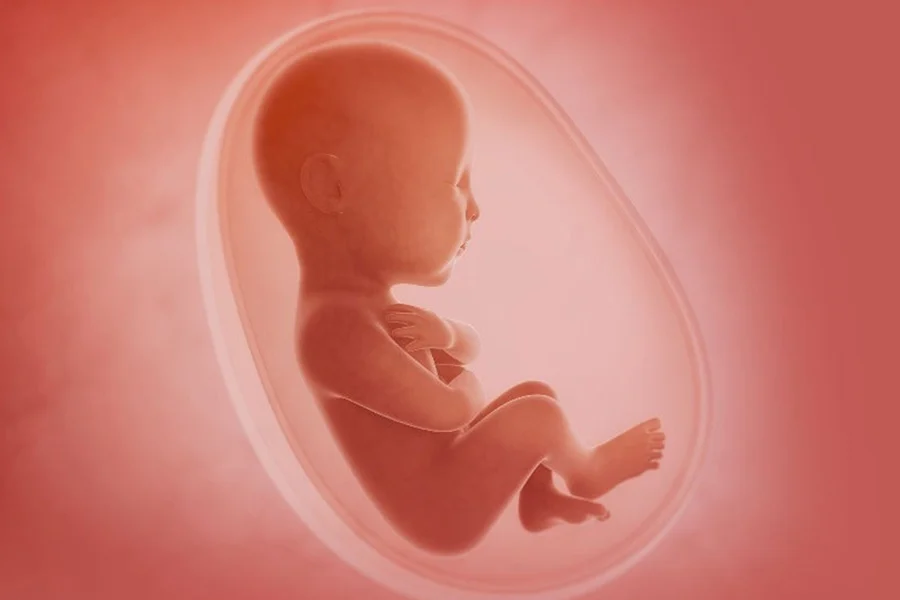 All the tips you should follow in the fifth month of pregnancy
