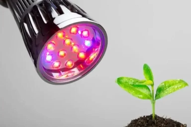 بهترین نوع و رنگ لامپ LED برای رشد گیاهان کدام‌اند؟