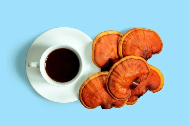 قهوه گانودرما بخوریم یا نخوریم؟