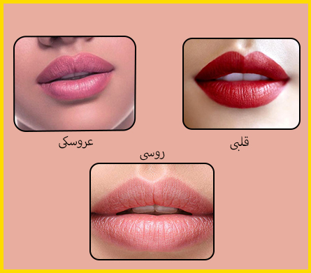 Types of lip gel injection models