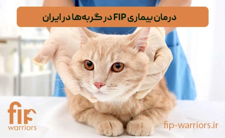 مرکز جامع FIP در ایران: درمان، مراقبت و پشتیبانی کامل